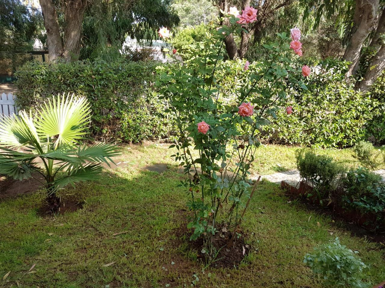 Location Tamaris Casa de férias Casablanca